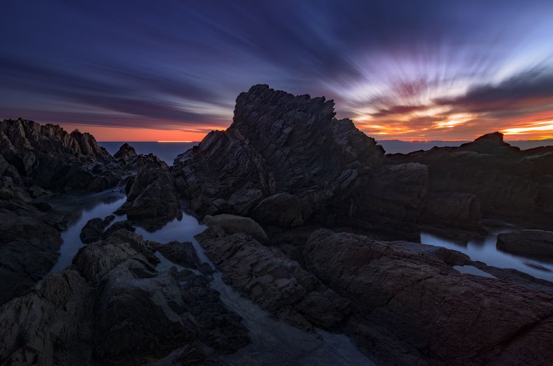 Плавникphoto preview