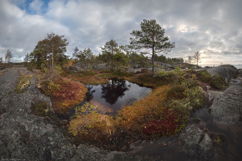 ладога, ладожские шхеры, карелия, сортавала, северное приладожье, скалистые острова, сосны, сельги, редколесье, сортавала, природа карелии \