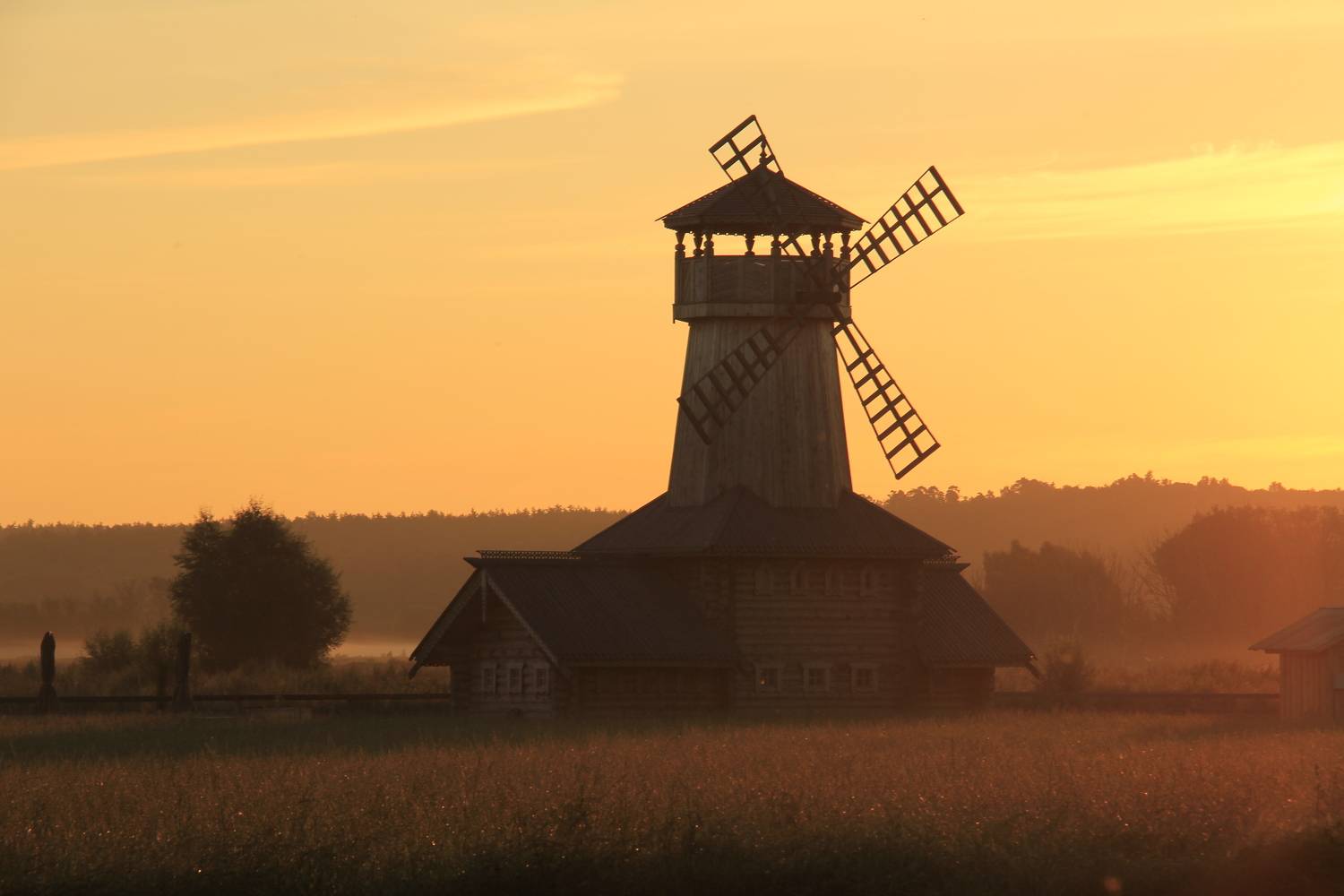 Золотое утро на мельнице. Автор: Irina Solonina , Irina Solonina