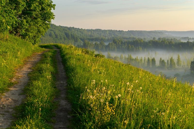 Утро в долине...photo preview