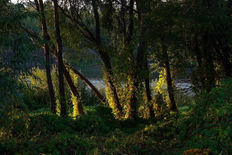 Сомнениеphoto preview