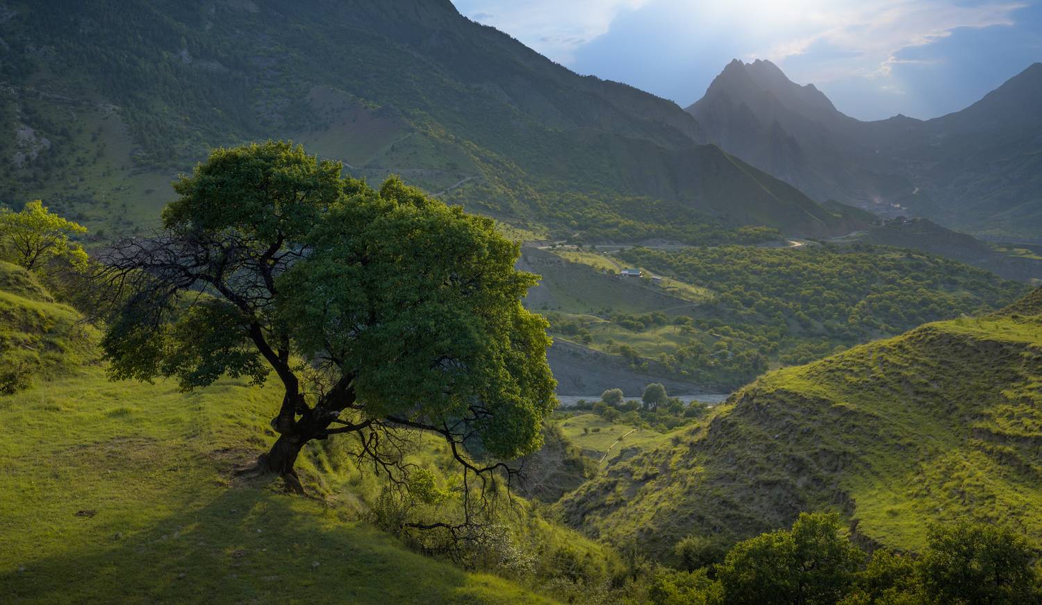 Над рекой Бакдакули. Автор: Roman Fabrichny кавказ, дагестан, гунибский район, северный кавказ, Roman Fabrichny