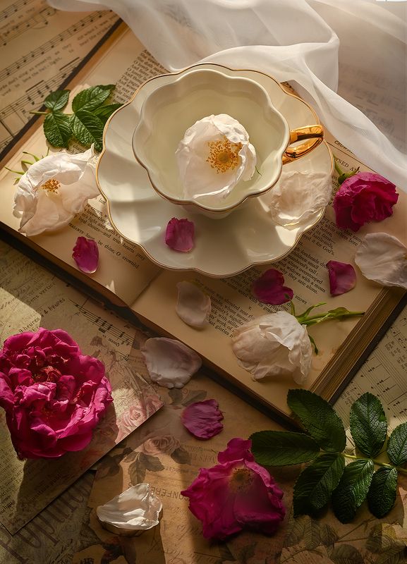 Перед закатомphoto preview