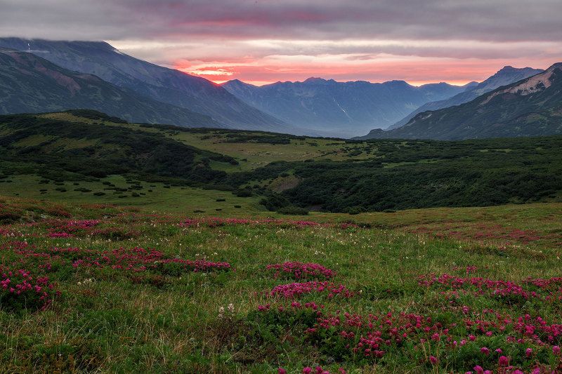 камчатка, рассвет, велючинский перевал Светало фото превью