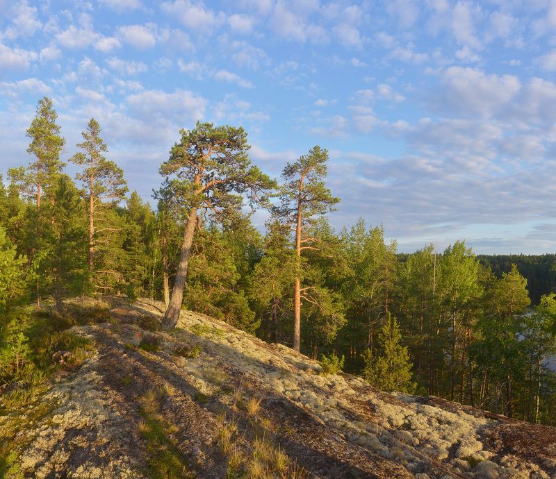 Карельская картинкаphoto preview