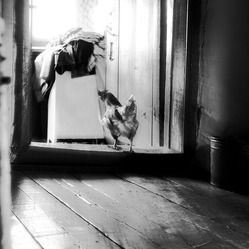 Проспать рассвет.photo preview