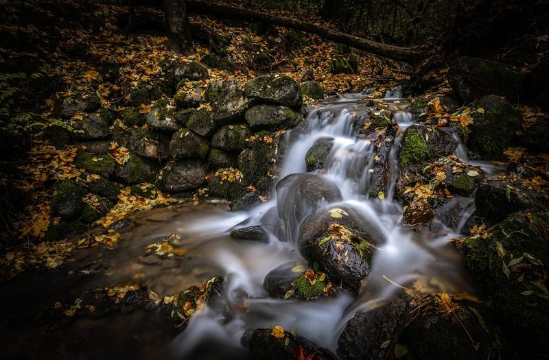 осень, изборск, путешествия Мельничный ручейphoto preview