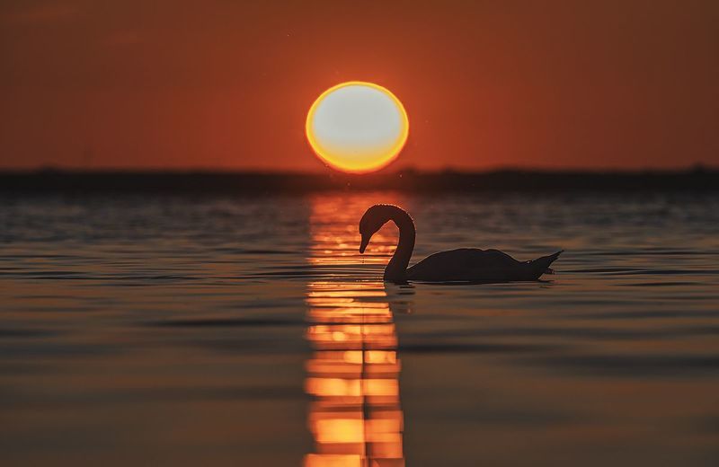 O wschodziephoto preview