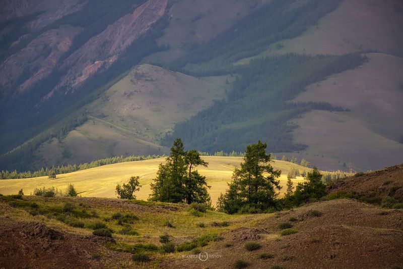 Глазphoto preview