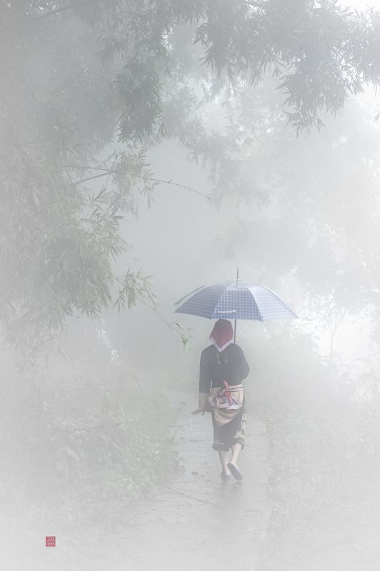 Foggy dayphoto preview