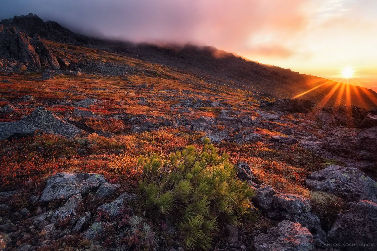 рассвет на Серебрянском камне. Автор: Антон Кошетаров , Антон Кошетаров