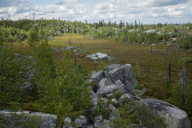 Карелия. Гора Воттоваара. 1 августа 2024.photo preview
