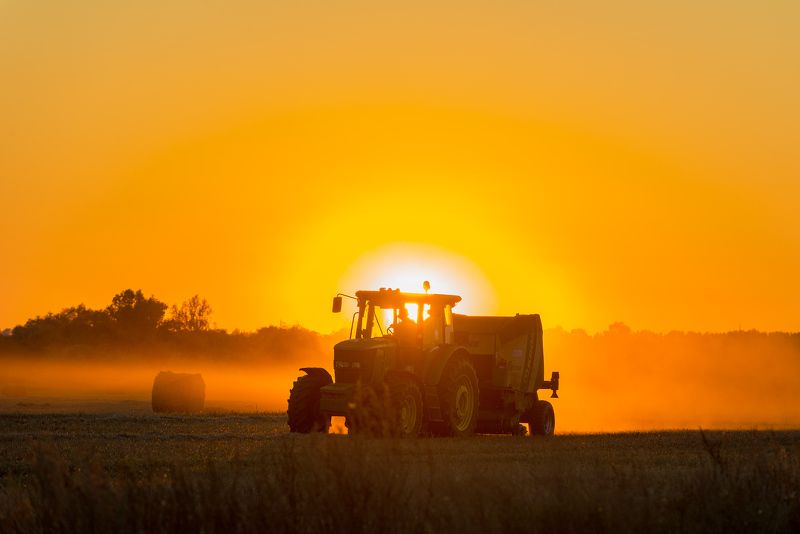 осень поле закат Полевые работы... фото превью