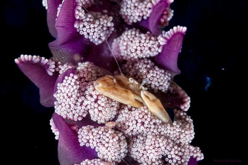 Дом, в котором я живу.photo preview