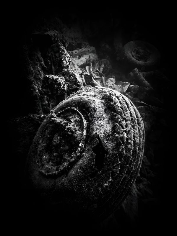 тистельгорм В мире безмолвияphoto preview