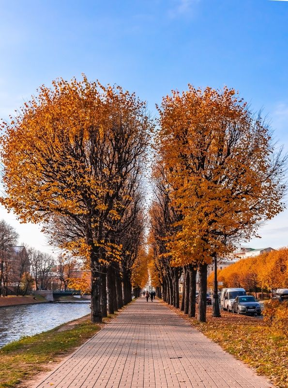 архитектура, питер, осень, осеннийгород,сердцегорода,санктпетербург Осеннее сердце городаphoto preview