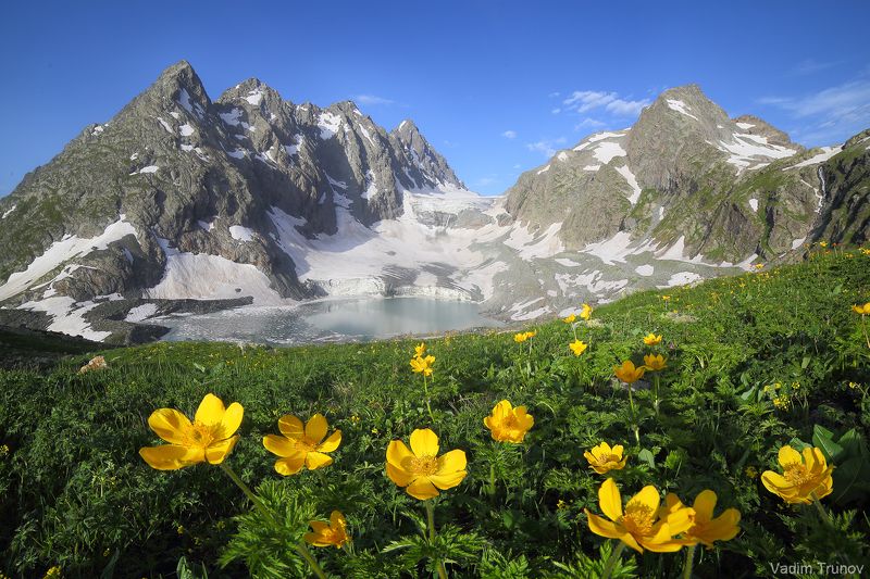 Amanauz Glacierphoto preview