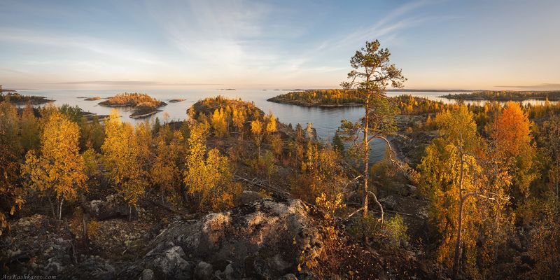 ладога, ладожские шхеры, карелия, северное приладожье, скалистые острова, сосны, сельги, золотая осень, редколесье \