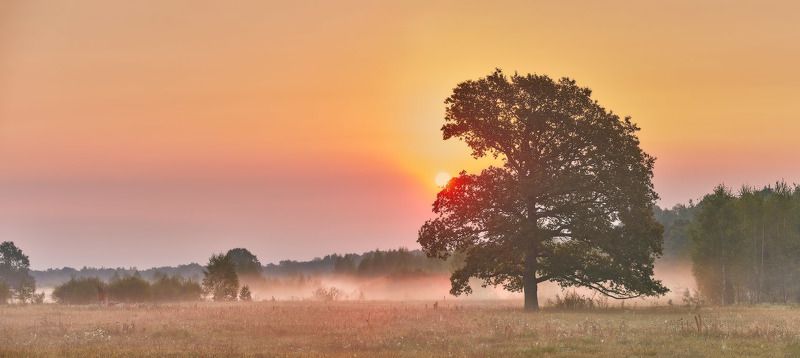 беларусь, дубрава, луга, осень, поля, рассвет, свислочь, сентябрь, туман, утро Сентябрь. Утро в походеphoto preview