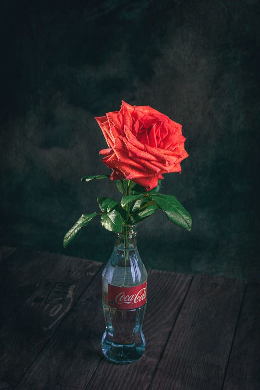 Роза в бутылкеphoto preview