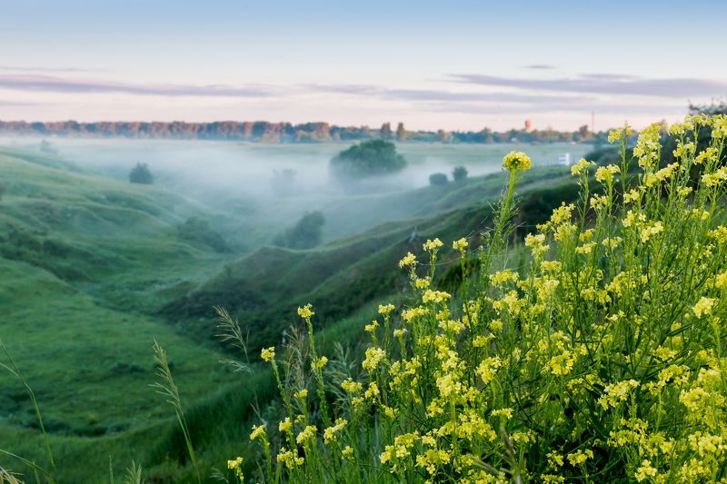 туман, лощина, утро, пейзаж Утроphoto preview
