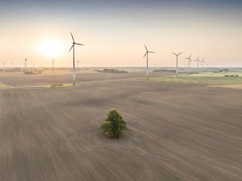 Утро cентября фото превью