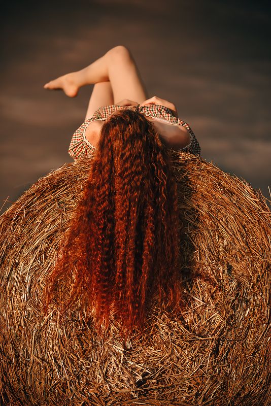 На сене фото превью