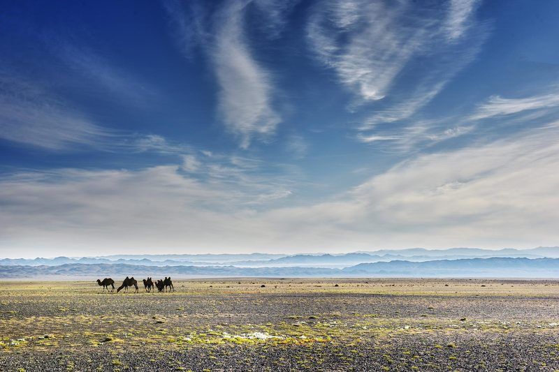 Монголияphoto preview