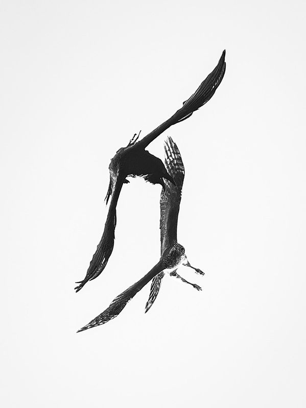 иероглиф фото превью