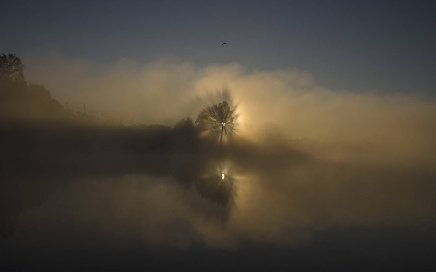 Когда уходит ночь. Автор: Михаил Агеев осень, утро, рассвет, архангельское, Михаил Агеев