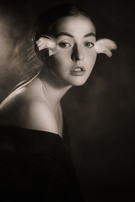 Bird of paradisephoto preview