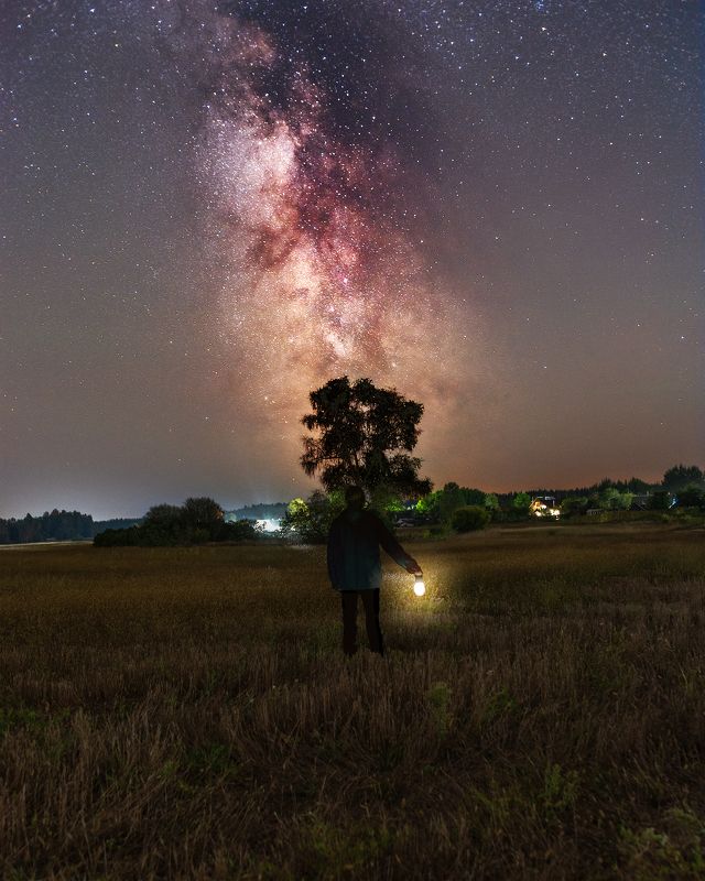 night, landscape, astro, milky way, astrolandscape, night landscape, field, ночь, пейзаж, Млечный Путь, звездное небо, звезды, астропейзаж, ночной пейзаж Под тысячью звёздphoto preview