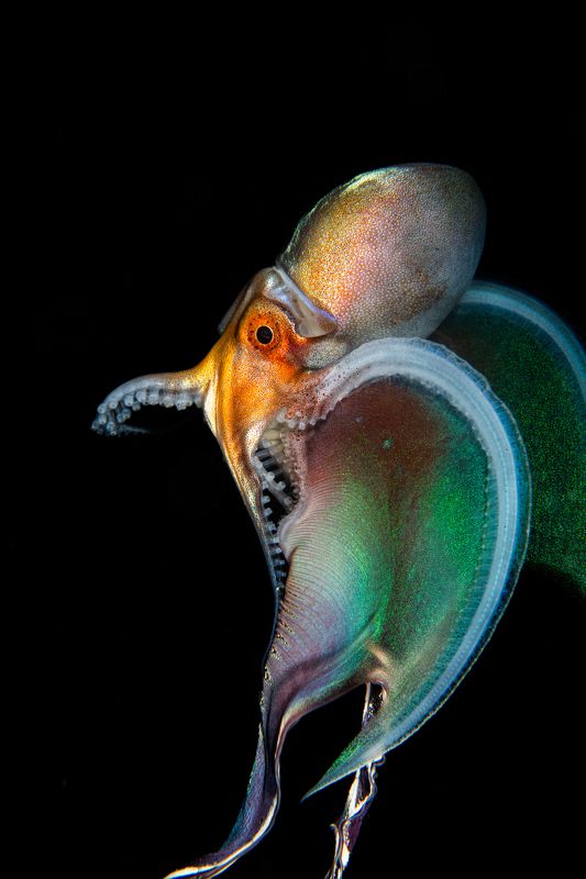 #mluwphotography  Blackwater photo preview