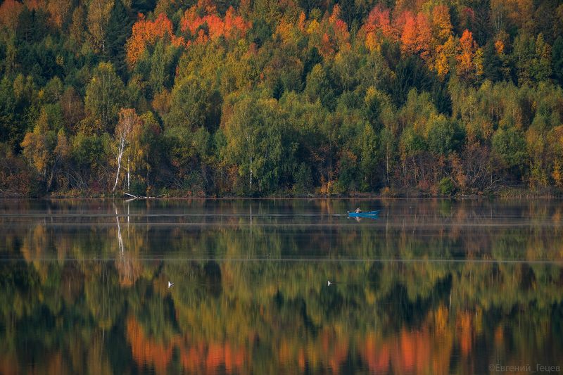 пейзаж, природа, лес, река, урал, россия, лодка Краски осениphoto preview