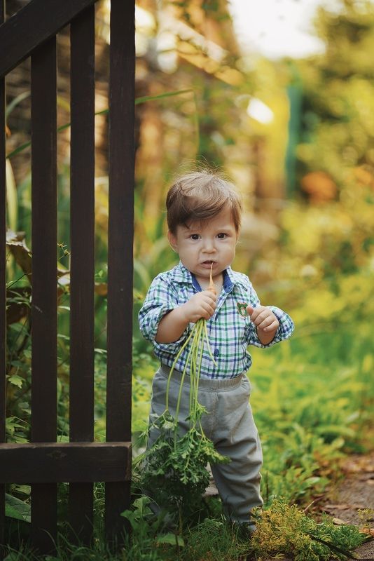 лето, summer, kids, дети, природа, морковь Мини фермерphoto preview