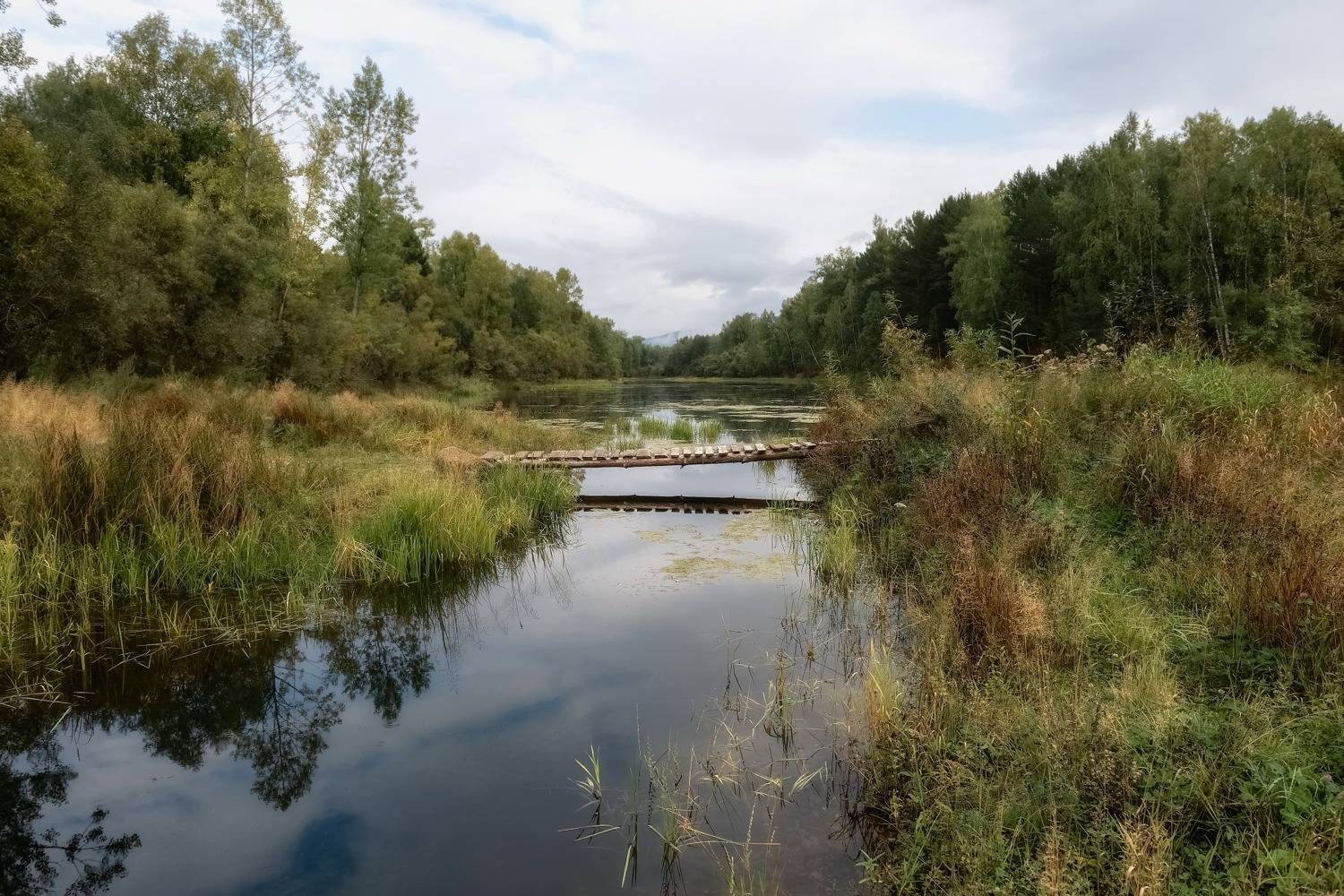 Старый пруд. Автор: Фомина Марина сибирь, пейзаж, природа, старый пруд, начало осени, мостик, Фомина Марина