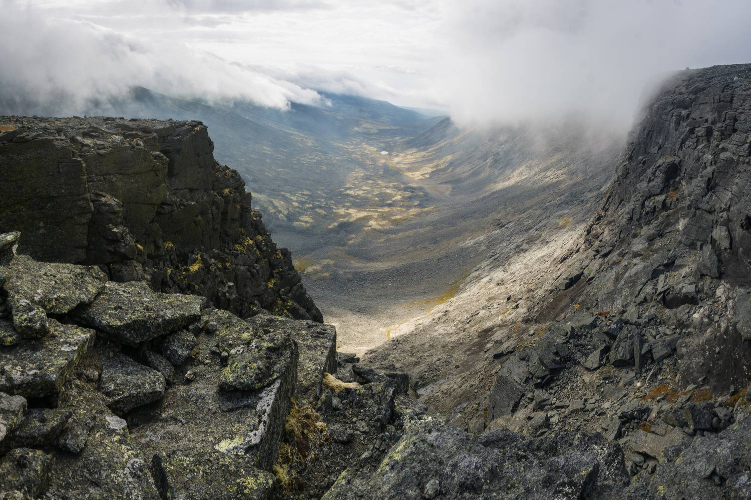 , Ян Сурогин