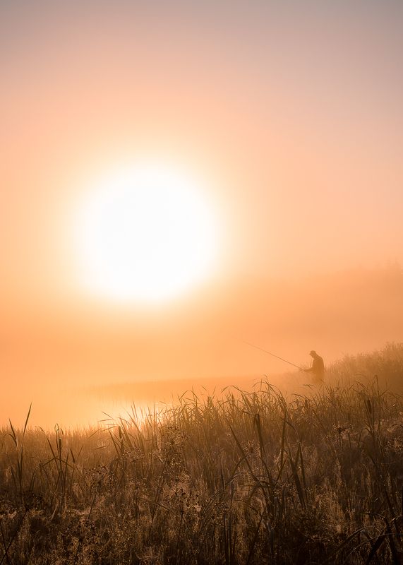 Утроphoto preview