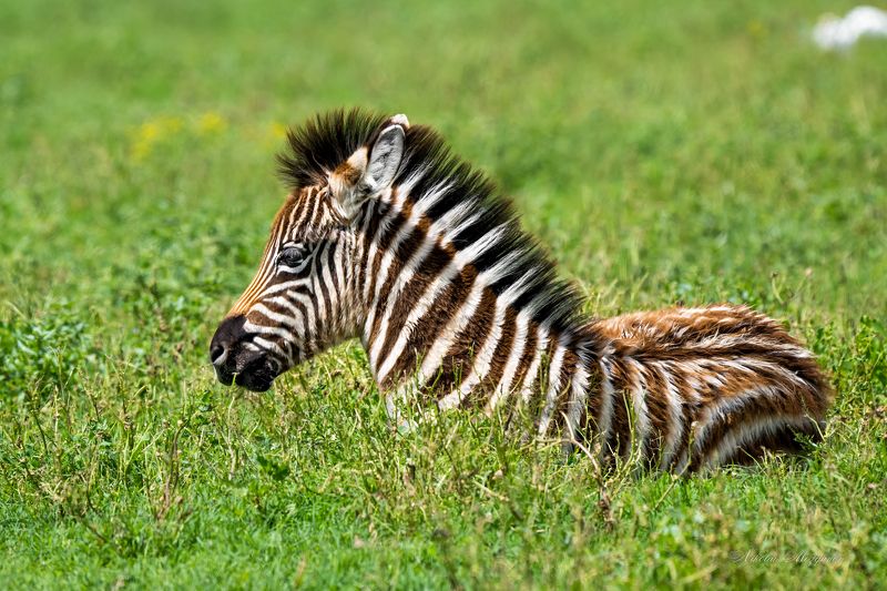 Умиротворениеphoto preview