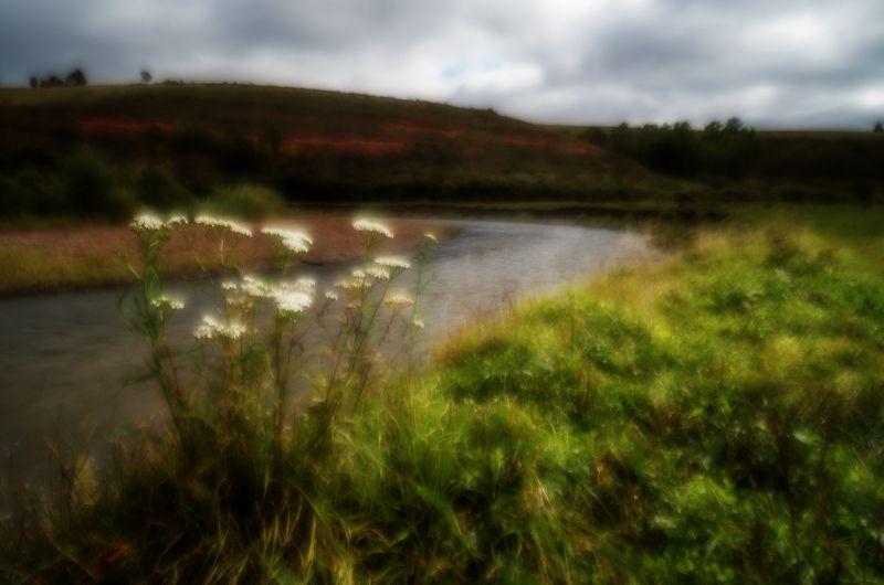 Зелёный берег у Красной Сопки.photo preview