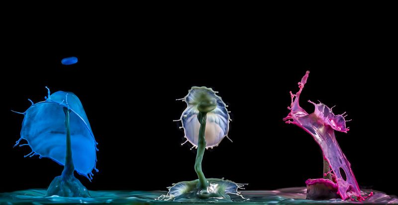 #color_image #color #drop #liqiud #macro #water #macrophoto Трио на черном фото превью