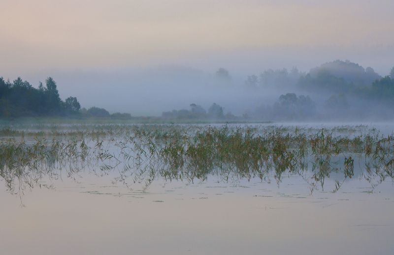 Пастель рассветаphoto preview