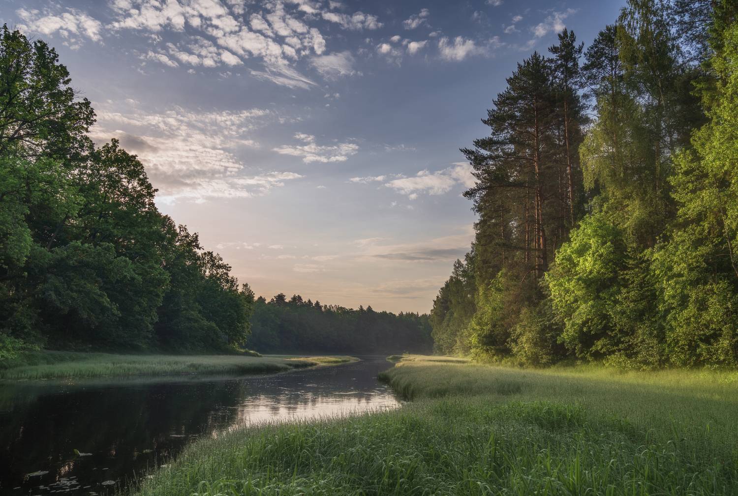 Керженец. Автор: Колесов Андрей лето утро река, Колесов Андрей