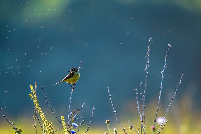 По утруphoto preview