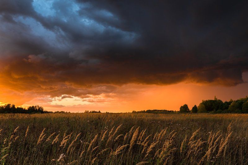 Полыхало...photo preview