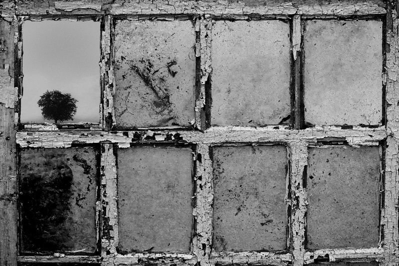 В окне настроения photo preview