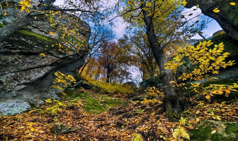 На подходе к Индюкуphoto preview