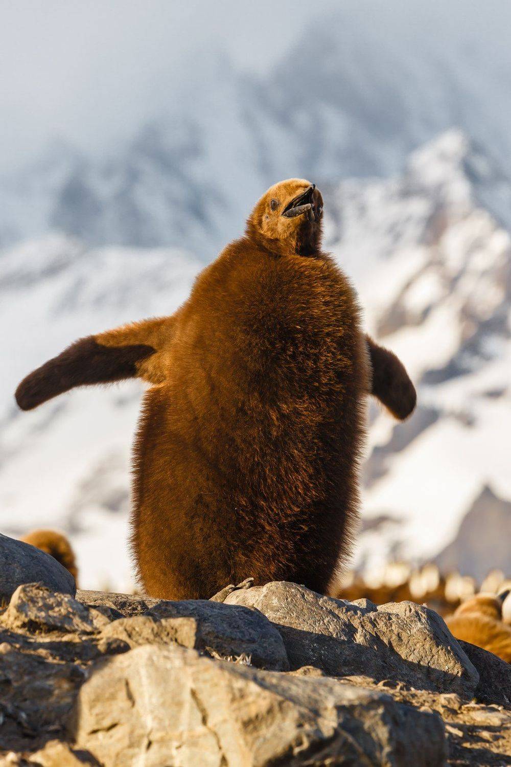 , Роман Мурушкин