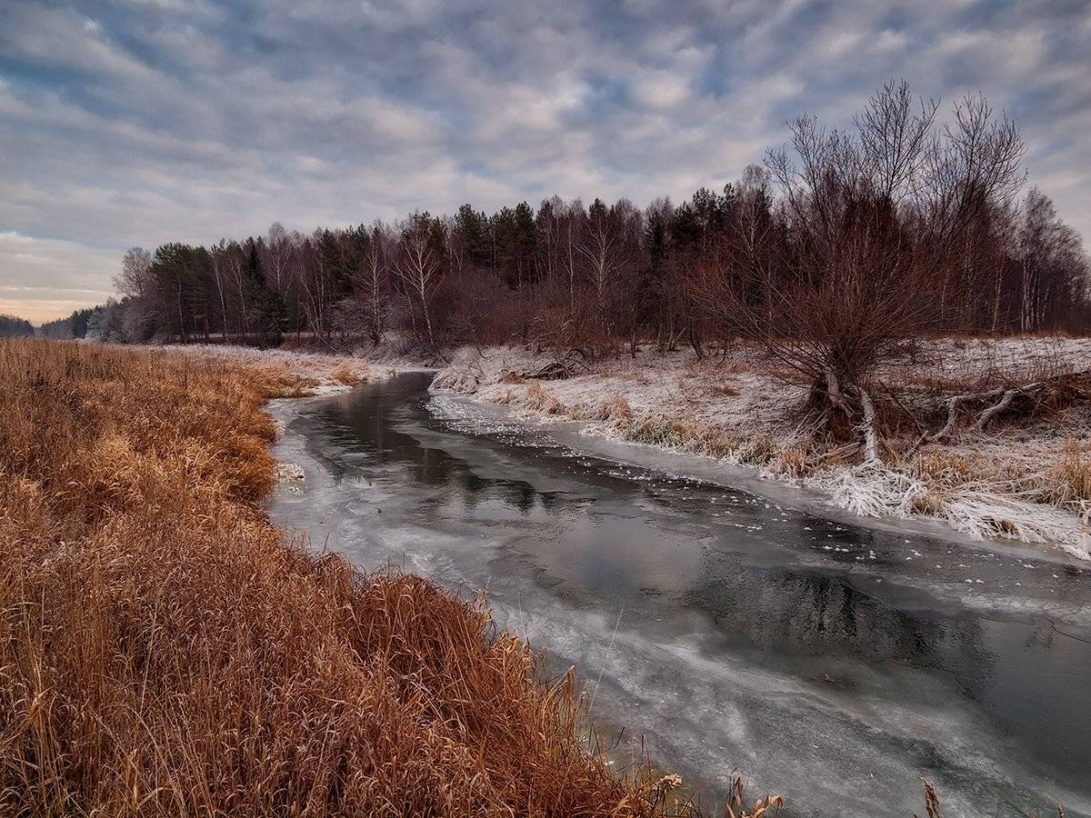 , Владимир Перепечаев