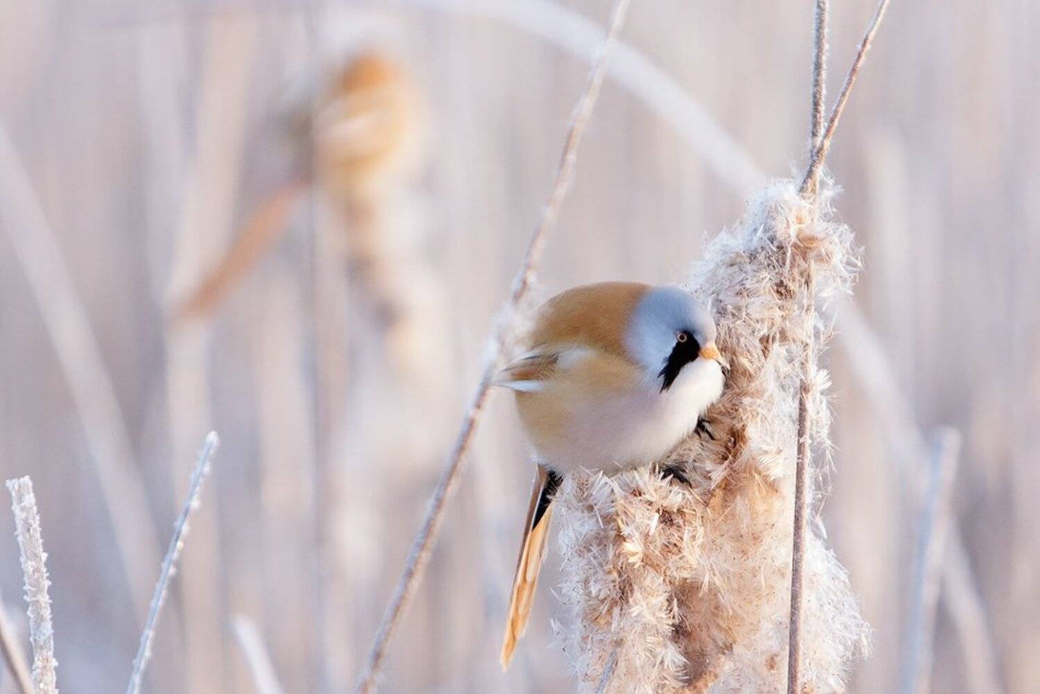 , Юрий Сорокин